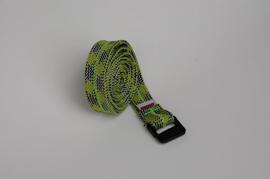 Buprestid Belay Belt